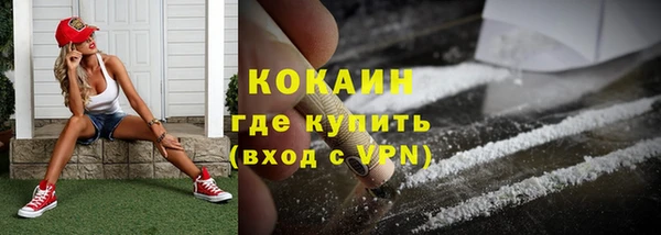 молекула духа Фёдоровский