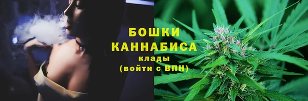 бошки Лагань