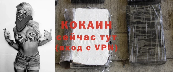 бошки Лагань