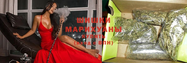 мет Ладушкин