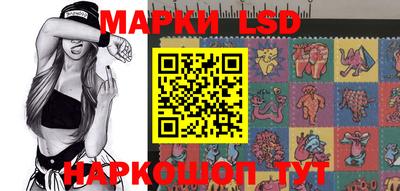 шишки Новодвинск