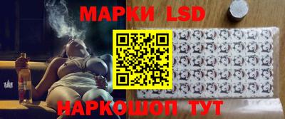 шишки Новодвинск