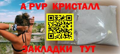 шишки Новодвинск