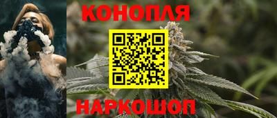 стафф Новозыбков