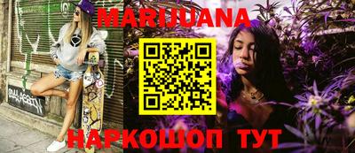 шишки Новодвинск