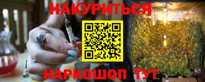 шишки Новодвинск