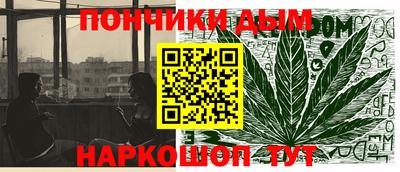 шишки Новодвинск