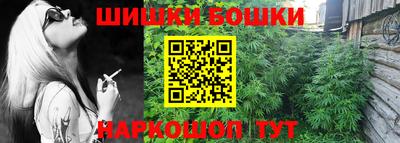 шишки Новодвинск