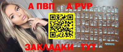шишки Новодвинск