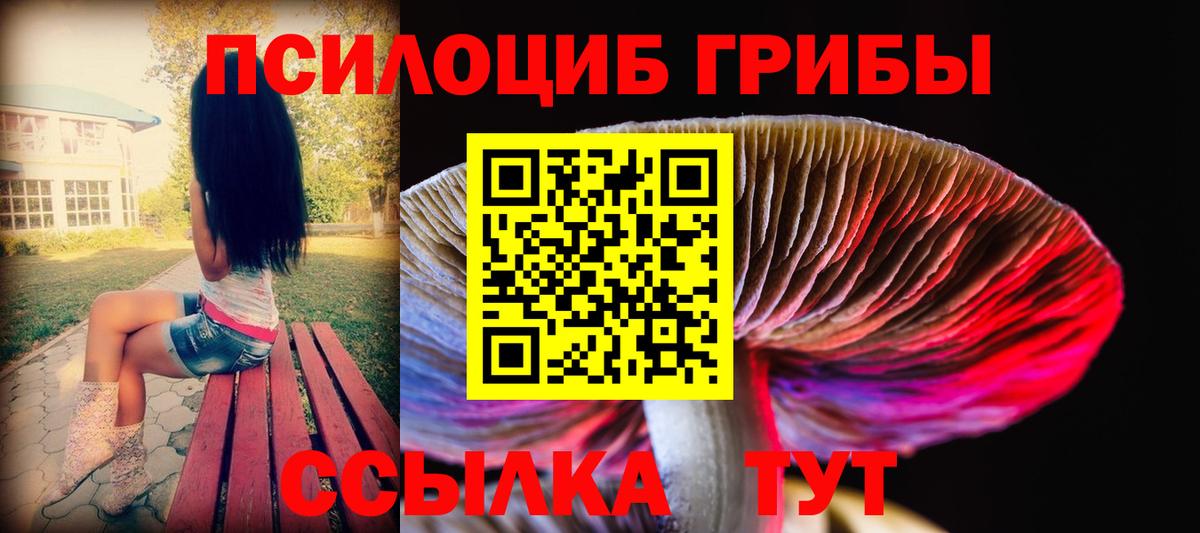 Галлюциногенные грибы ЛСД Шебекино