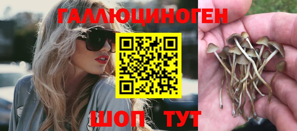 Псилоцибиновые грибы ЛСД  Шебекино 