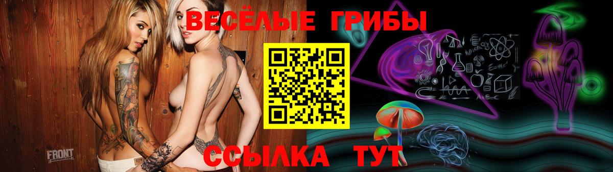 Шебекино  Псилоцибиновые грибы прущие грибы  Вход с VPN  Галлюциногенные грибы MAGIC MUSHROOMS 
