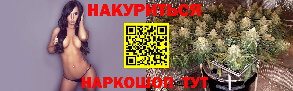Бошки марихуана White Widow Шебекино